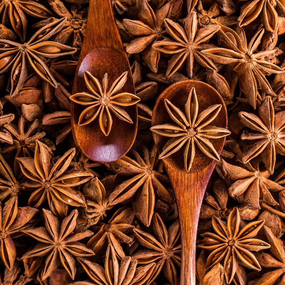 Witchy Pooh's Anise Stars Whole High Quality Strong Smell for Simmer Pots, Cooking and Ritual-19