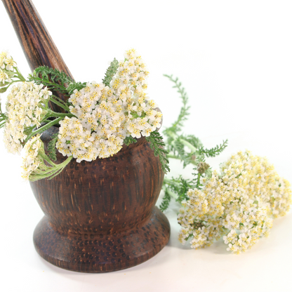 Witchy Pooh's Yarrow Flowers Herb For Topical Wound Healing, Heighten Senses for Ritual and Intuition-5
